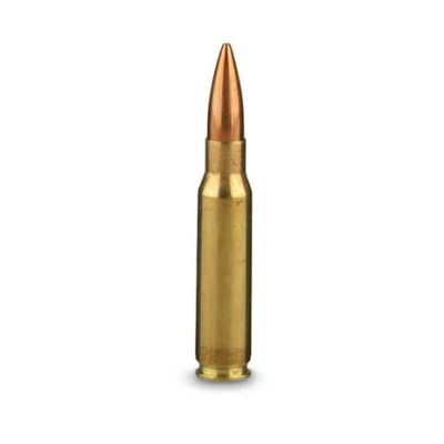 7.62 x 51mm