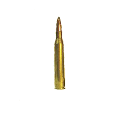 .25 Winchester Super Short Magnum (WSSM)