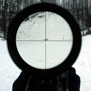 Optics Community Image